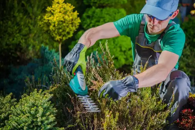 landscaping services Golden Meadow